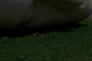 deposição de cinzas